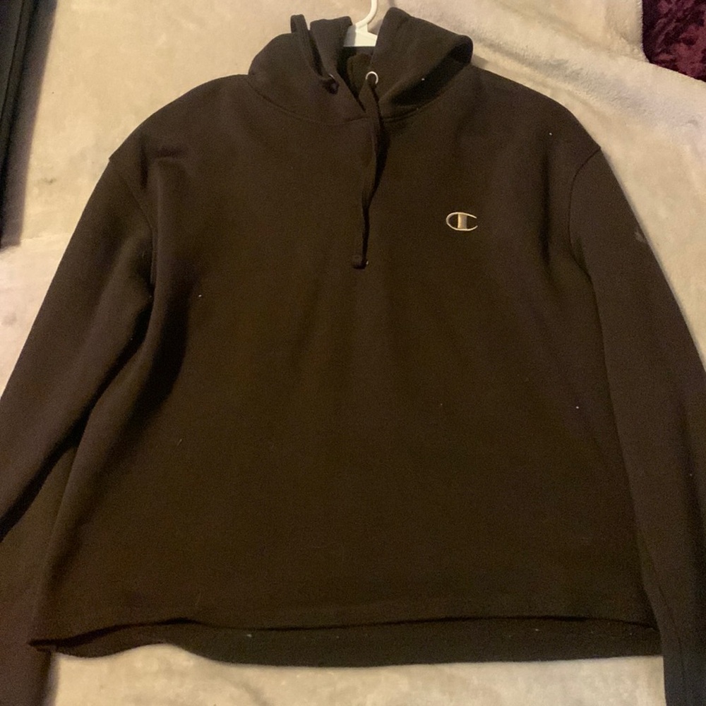 Brown champion cropped hoodie